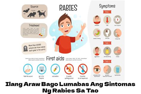 ilang araw bago maramdaman ang rabies